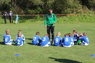 星空体育app体验棒-美洲杯争夺队：攻守兼备，战术百变，美洲杯的比赛