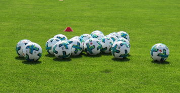 星空app官网-中国足球运动员营养健康研究，作为国家足球队的营养师