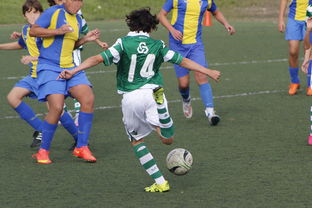 星空体育平台安全-决胜时刻爆发，凡尘组合逆转世界第18晋级，逆凡尘最新章节